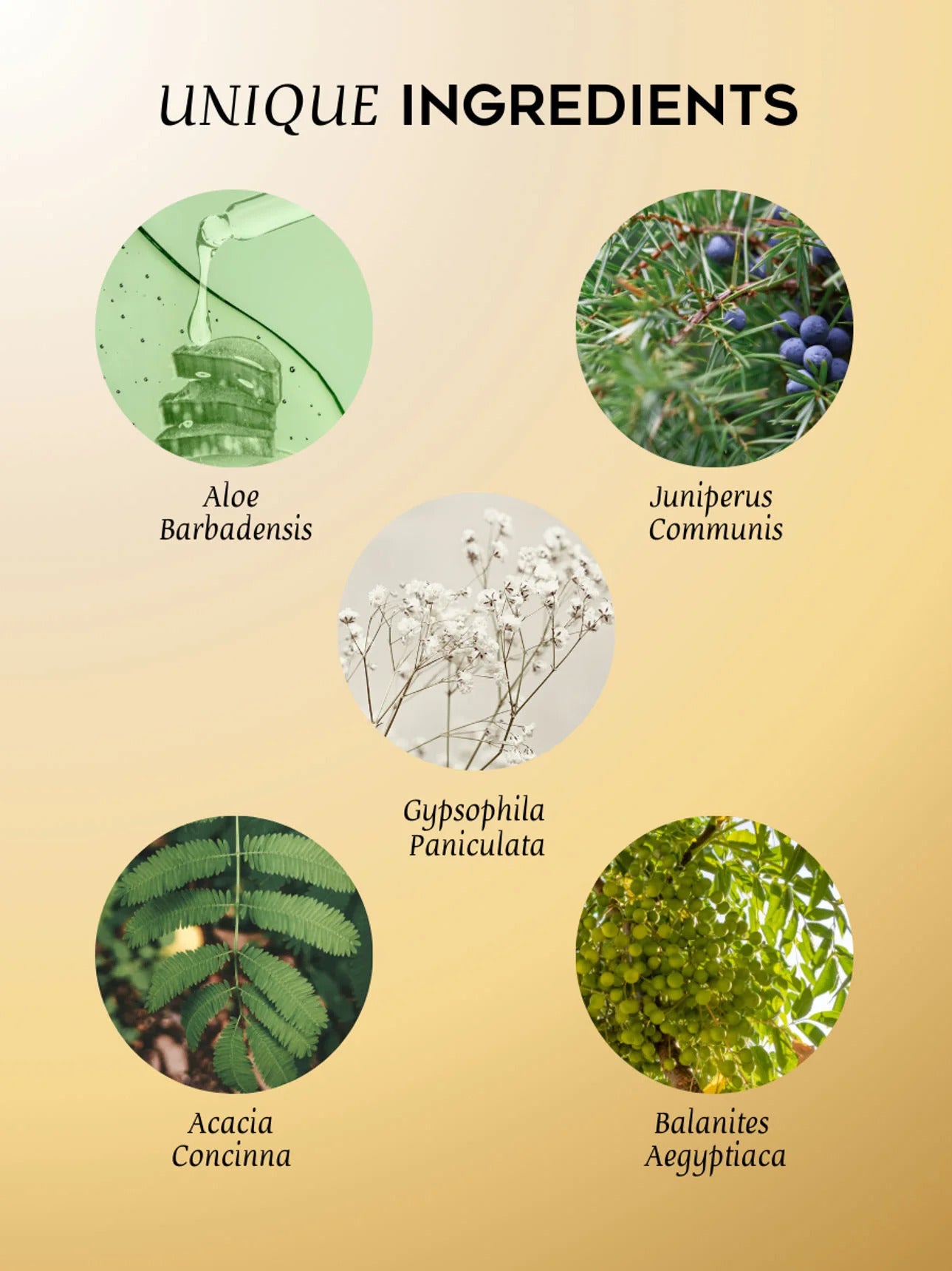 Burbulinė dušo želė - 400ML