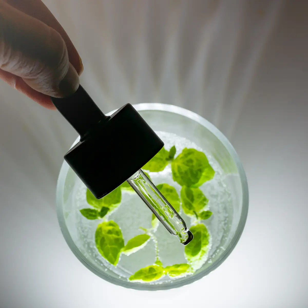 Rainforest Omega turtingas aliejaus serumas, 30ml