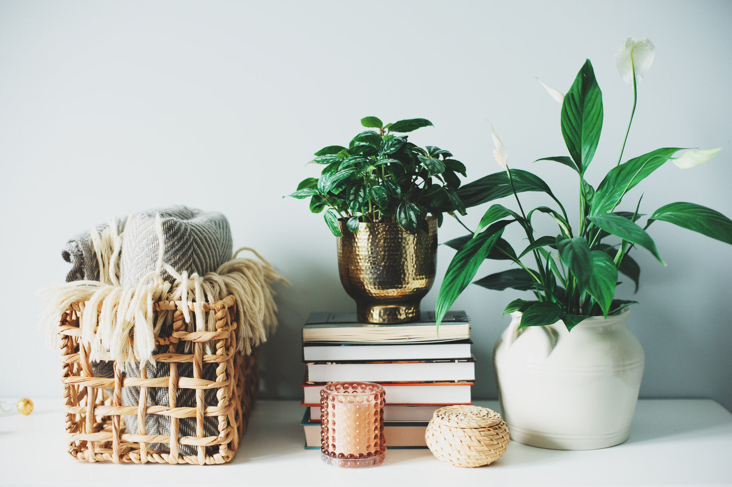 Home & Decor